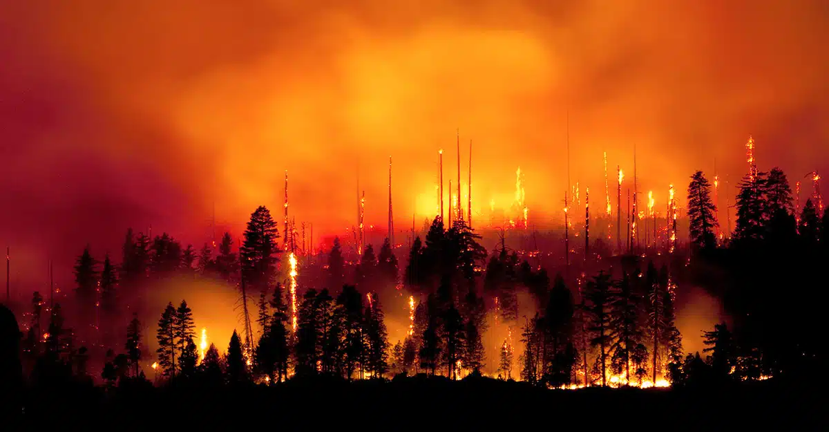 DriveSavers Offers Data Recovery Relief to Victims of Raging California Wildfires