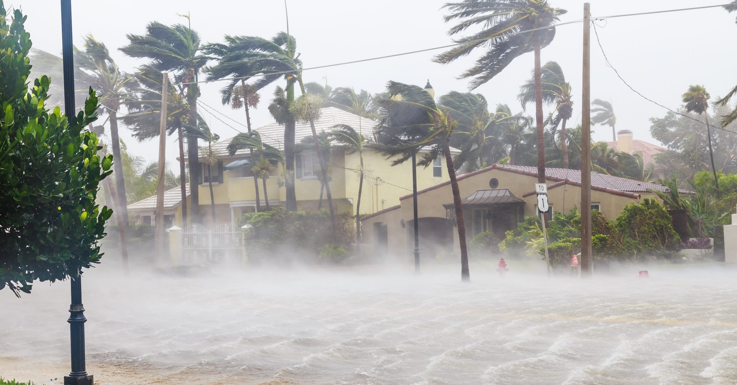 Data Safety Advice for Hurricane Harvey Victims