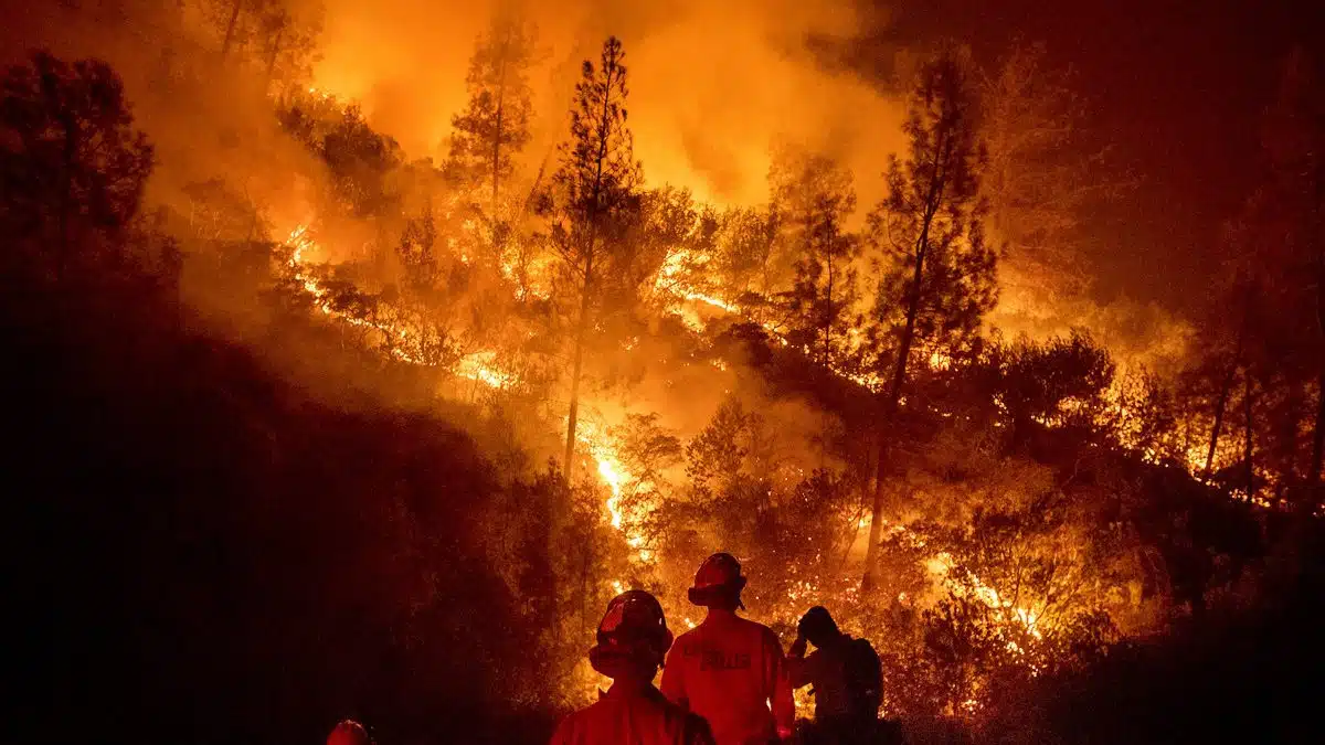 Data Tips for Wildfire Season