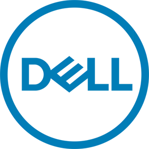 Dell Data Recovery